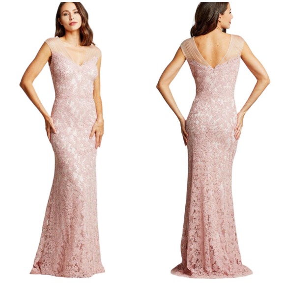 Tadashi Shoji Dresses & Skirts - Tadashi Shoji NWT Pink Illusion V-neck Lace Trumpet Dress Size 16 Maxi Gown